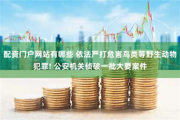 配资门户网站有哪些 依法严打危害鸟类等野生动物犯罪! 公安机关侦破一批大要案件