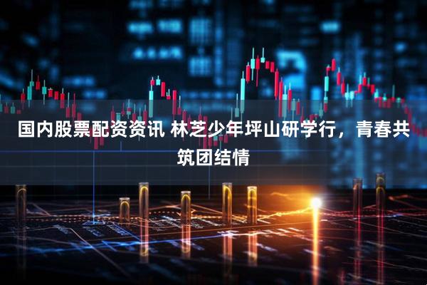 国内股票配资资讯 林芝少年坪山研学行，青春共筑团结情